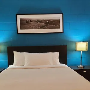 roadking-inn.calgaryhotelsearch.com/